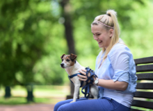 Opatrování mazlíčků